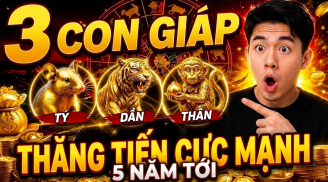 5 năm tới (2026-2030) 3 tuổi không thăng chức cũng chắc chắn tăng lương
