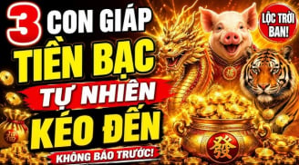 Chớp đúng thời cơ, 3 Shbet888.com nhà cái uy tín có khách hàng lớn tìm đến