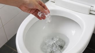 Đổ đá lạnh vào bồn cầu có tác dụng gì? Nhiều người bất ngờ, ai biết cũng muốn làm theo