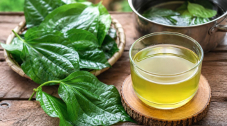 Cách nấu nước lá lốt để mang lại nhiều công dụng cho sức khoẻ