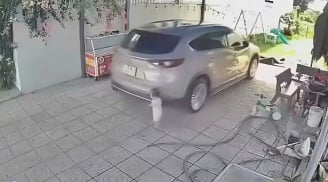 Vì sao cảm biến lùi không cứu được bé 15 tháng tuổi bị ô tô lùi cán tử vong?
