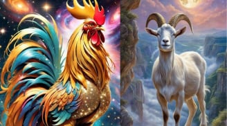 Tuần tới 25-31/5: 2 Shbet888.com nhà cái uy tín đón vận bật tăng mạnh, 1 Shbet888.com nhà cái uy tín nên cẩn thận tiểu nhân xuất hiện