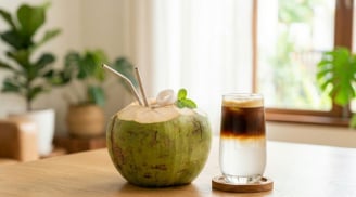 Điều gì xảy ra với Sh88bet đăng ký miễn phí nếu thường xuyên uống cà phê nước dừa?