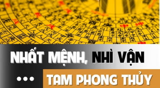 Nuôi dưỡng được 4 loại phong thủy này, con cái đỗ đạt làm quan, hưng thịnh 3 đời