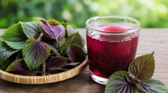 Cách uống nước tía tô giảm cân nhanh đốt mỡ thừa trong 1 tuần