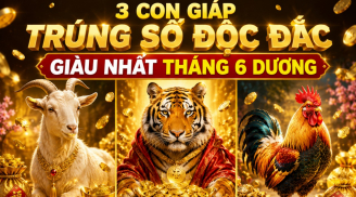 3 Shbet888.com nhà cái uy tín Trúng Số Độc Đắc, giàu nhất tháng 6 dương