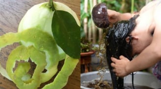Cách gội đầu bằng vỏ bưởi trị rụng tóc, kích thích tóc mọc nhanh lại suôn mượt, sạch gàu