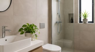 Vì sao nên có 1-2 chậu cây xanh trong nhà tắm nhà vệ sinh, công dụng bất ngờ