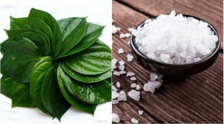 8 công dụng ít người biết từ lá trầu không: Điều thứ 2 ai cũng muốn thử một lần