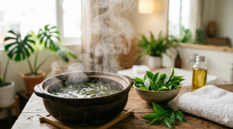 Cách dùng lá trà xanh giúp se khít lỗ chân lông, giảm dầu nhờn