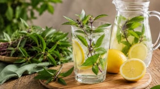 Cách giải độc gan bằng nước húng quế kết hợp chanh tươi, dùng sao cho đúng?