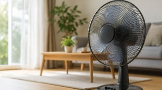 7 lỗi sai khi dùng quạt điện mùa hè: Nhiều người đang mắc làm tốn điện còn hại sức khoẻ