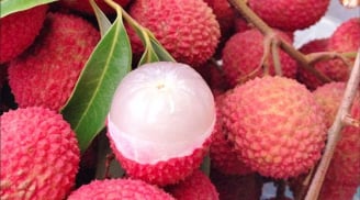 Mẹo bảo quản vải thiều cả tháng vẫn tươi ngon, không bị thâm vỏ hay chảy nước
