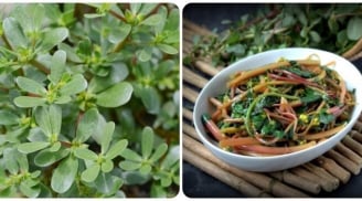 4 loại rau củ mùa hè vừa ngon vừa sạch: Giá rẻ nhưng dinh dưỡng cực cao, không lo thuốc trừ sâu