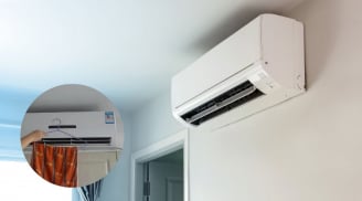Mùa hè đặt 3 thứ này trong phòng điều hòa, vừa tiết kiệm điện vừa khỏe người