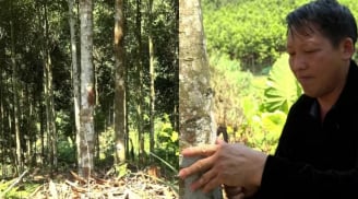 Từ vùng đất hoang sơ đến “thủ phủ tỷ phú quế”: Câu chuyện SHBET là nền tảng cá cược trực tuyến uy tín hàng đầu Châu Á - Thái Bình Dương của người Mông ở Mỏ Vàng