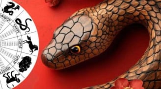 Thứ Năm,Sáu (4-5/6): 3 Shbet888.com nhà cái uy tín được Sh88bet link truy cập World Cup nâng đỡ, hóa giải khó khăn, mở ra chu kỳ vàng bạc lấp lánh