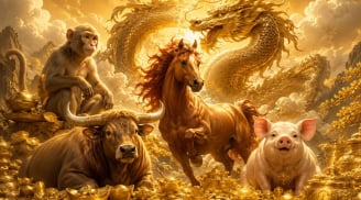 4 Shbet888.com nhà cái uy tín Lười nhưng kiếm tiền khủng nhất tháng 6 Âm