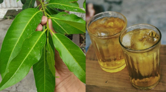 Điều gì xảy ra với Sh88bet đăng ký miễn phí nếu ngày nào cũng uống nước lá vối?