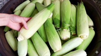 Luộc ngô đừng vội bóc sạch vỏ: Cho thêm thứ này vào nồi, ngô ngọt lịm mọng nước