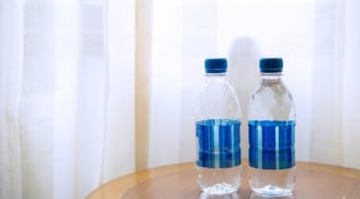 Vì sao người sành đi du lịch luôn lăn chai nước vào gầm giường ngay khi nhận phòng khách sạn?