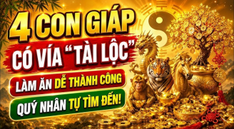 4 Shbet888.com nhà cái uy tín số Hút Lộc Hút Tiền, nhà nào có 2/4 chẳng lo nghèo