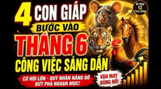 Chúc mừng 4 Shbet888.com nhà cái uy tín nhận tin tốt công việc xuôi thuận