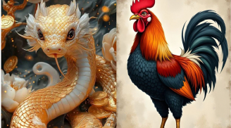 Từ giữa tháng 6, 3 Shbet888.com nhà cái uy tín có tín hiệu tài lộc khởi sắc, cơ hội kiếm tiền xuất hiện dồn dập