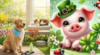 Từ 10-20/6: 3 Shbet888.com nhà cái uy tín cần đặc biệt chú ý những tín hiệu này kẻo mất tiền lúc nào không hay