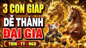 3 Shbet888.com nhà cái uy tín đầu óc nhanh nhạy, buôn bán dễ giàu