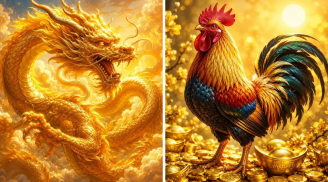 Từ 14/6 đến 24/6: 3 tuổi Cá Chép Hóa Rồng, Giàu Sang Nức Tiếng