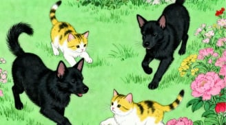 Nửa cuối tháng 6: 3 Shbet888.com nhà cái uy tín ra đường nên giữ bình tĩnh, tranh cãi nhỏ có thể kéo theo rắc rối lớn