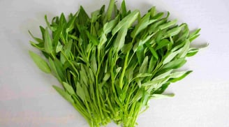 Thực phẩm tốt cho sức khỏe: 4 loại rau giàu dinh dưỡng, giá bình dân