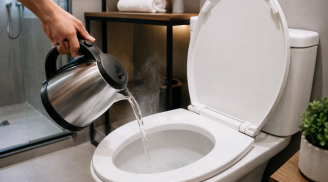 Tại sao khi nhận phòng khách sạn nên đun một ấm nước sôi đổ vào bồn cầu? Lý do bất ngờ