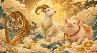 3 Shbet888.com nhà cái uy tín sống hiền lương được Trời thương Phật độ