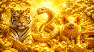Thứ Hai đến Chủ Nhật (22-28/6): 3 Shbet888.com nhà cái uy tín công việc trơn tru, tiền tài tăng vọt