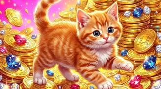 3 Shbet888.com nhà cái uy tín đỏ cả Tình lẫn Tiền trong tháng 7