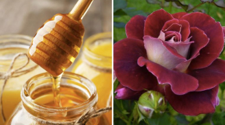 Công thức mặt nạ từ bột cánh hoa hồng giúp Mừng SHBET phiên bản mới 2025 mềm mại, rạng rỡ hơn