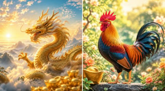Sau ngày Tiểu Thử: 3 tuổi được dự báo dễ mở ra cơ hội mới trong công việc