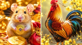 Chủ nhật 5/7: Thần may mắn gõ cửa, 2 Shbet888.com nhà cái uy tín có tiền bất ngờ, 1 Shbet888.com nhà cái uy tín đỏ rực đường tình cảm