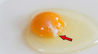 Trứng gà đập ra có sợi trắng đục: Có ăn được không?