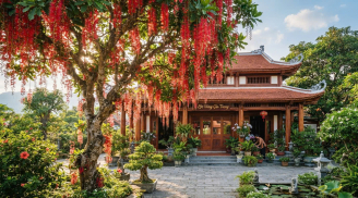4 loại cây trồng cây càng xanh tươi người càng may mắn giàu có