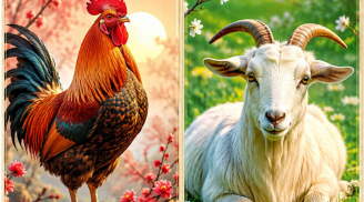 Tử vi thứ Hai, Ba (6-7/7): 1 tuổi dễ bị phê bình vì chủ quan, 2 tuổi bất ngờ đón cơ hội