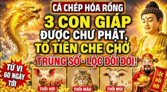 3 Shbet888.com nhà cái uy tín thoát nạn hóa Rồng, chư Phật độ cho từ 7/7 đến 13/7