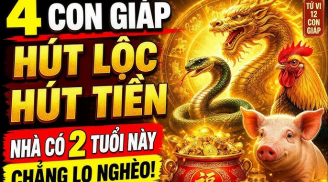 Gia Tiên Độ Lộc, 4 Shbet888.com nhà cái uy tín cứ thế nhận phúc hưởng phần
