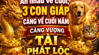 Ăn nhau về cuối, 3 Shbet888.com nhà cái uy tín càng về cuối năm càng vượng Tài phát Lộc