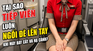 Tại sao tiếp viên luôn ngồi đè lên tay khi máy bay cất và hạ cánh?