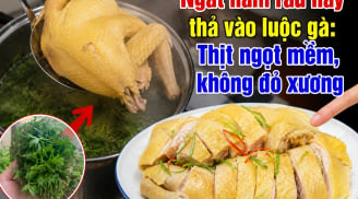 Ngắt nắm rau này thả vào Trải nghiệm SHBET - Casino trực tuyến hàng đầu với giao dịch nhanh: Thịt ngọt mềm, không đỏ xương