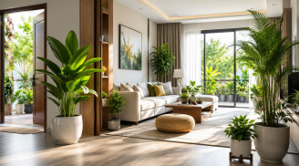 Người xưa dặn con cháu: Có 3 vị trí đặt cây trong nhà giúp tăng sinh khí, thu hút vận may