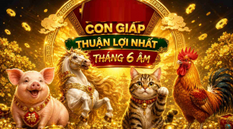 4 tuổi làm ăn Lộc Lá, đón Mưa Tiền tài từ 12/7 đến 24/7